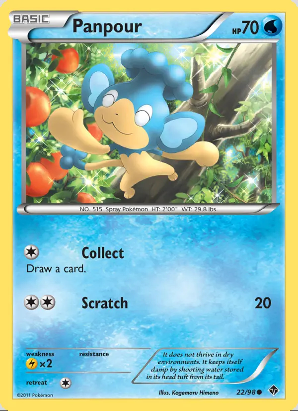 Image of the card Panpour