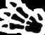 Symbol of the Pokemon TCG set Fossil